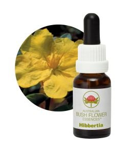 Hibbertia, 15 ml